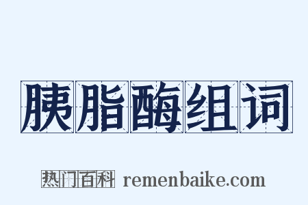 胰脂酶组词是什么意思的图片